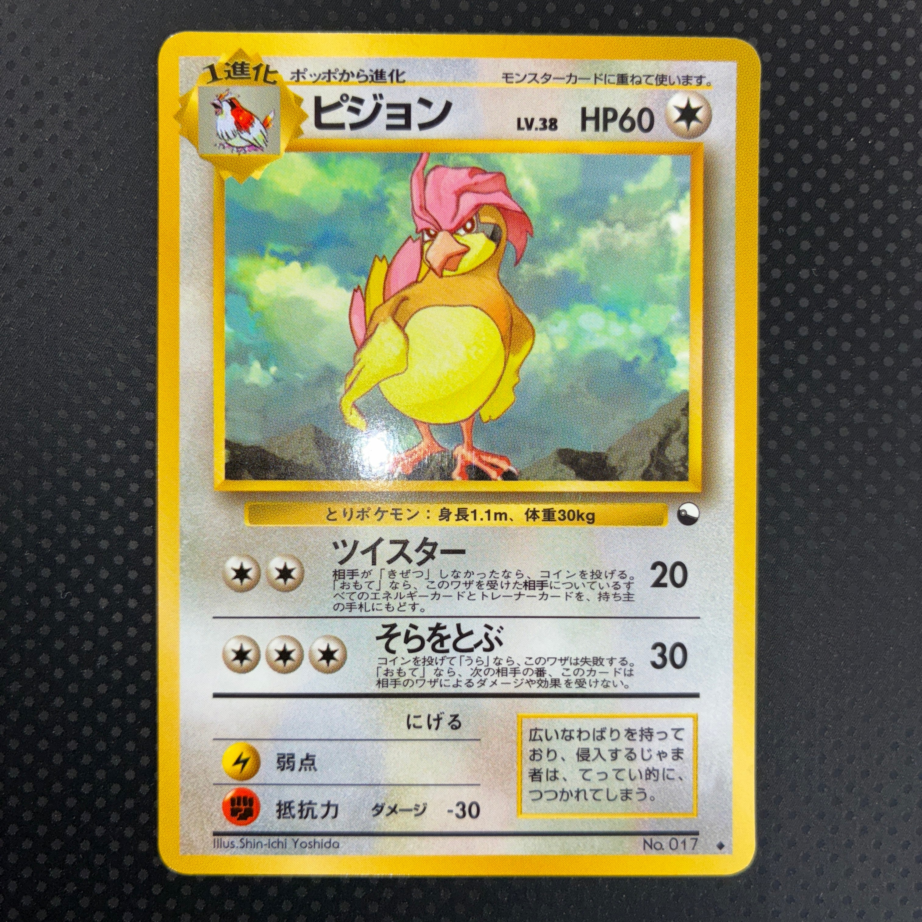 状態A ピジョン　旧裏　拡張シート