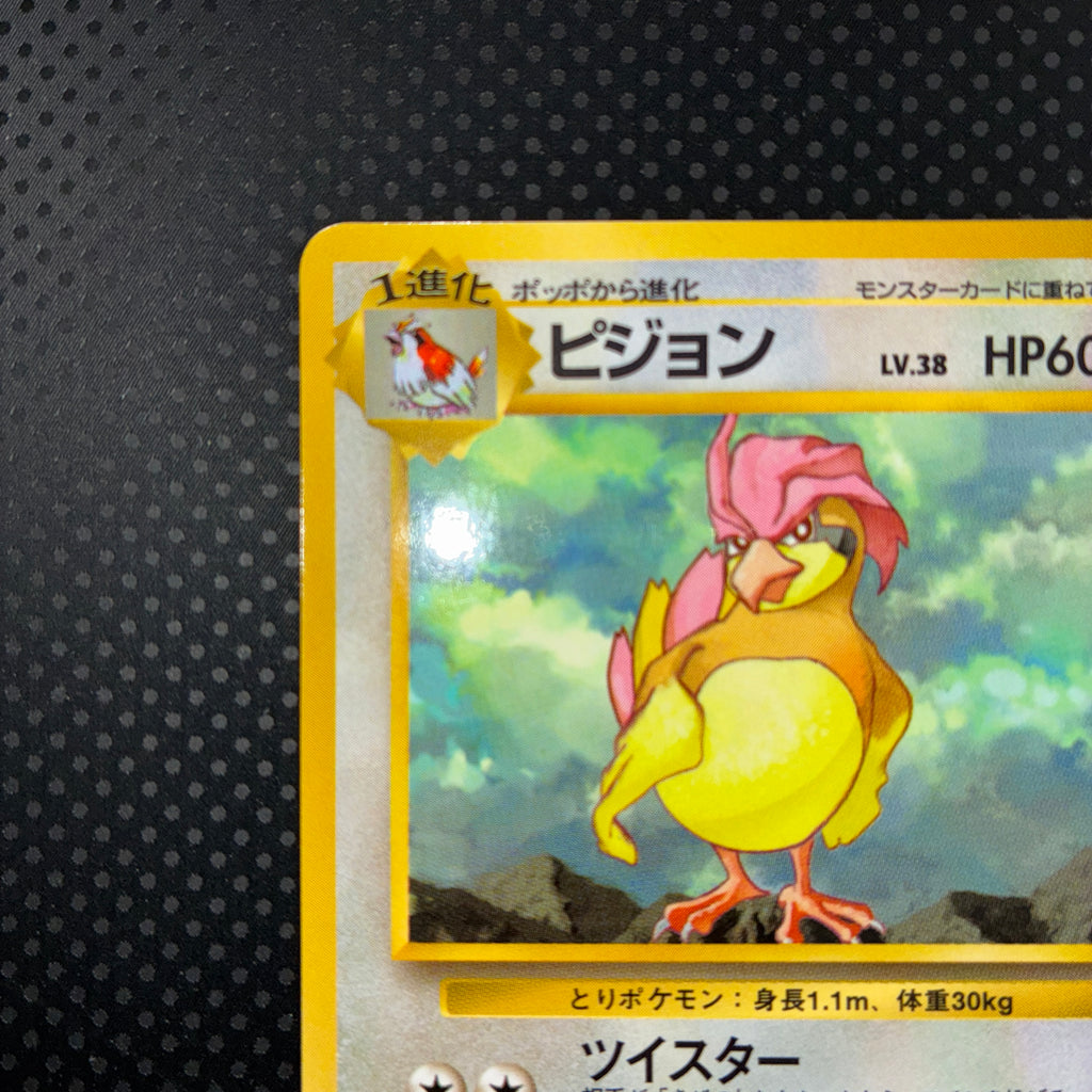 状態A ピジョン　旧裏　拡張シート