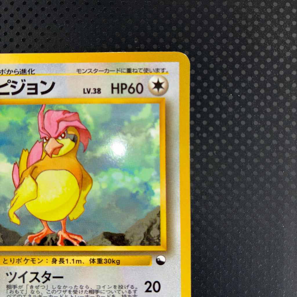 状態A ピジョン　旧裏　拡張シート