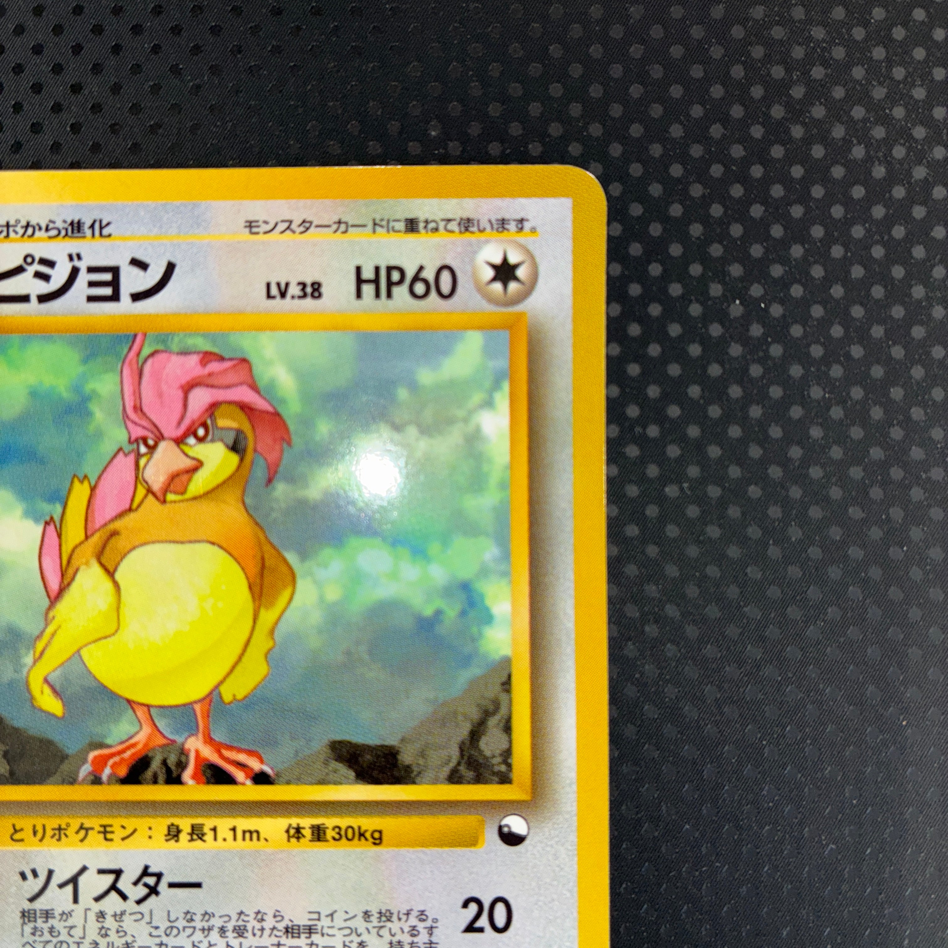 状態A ピジョン　旧裏　拡張シート