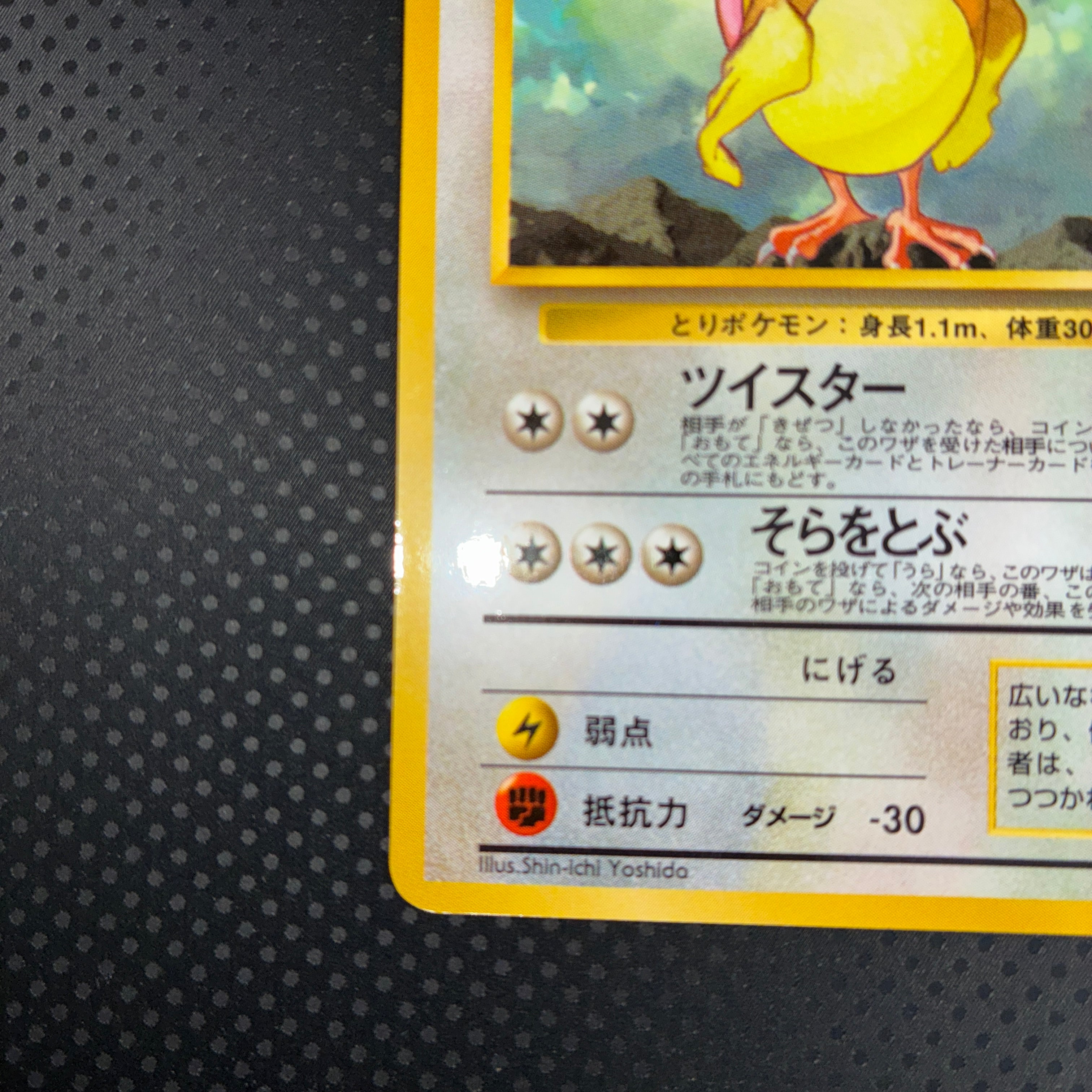 状態A ピジョン　旧裏　拡張シート