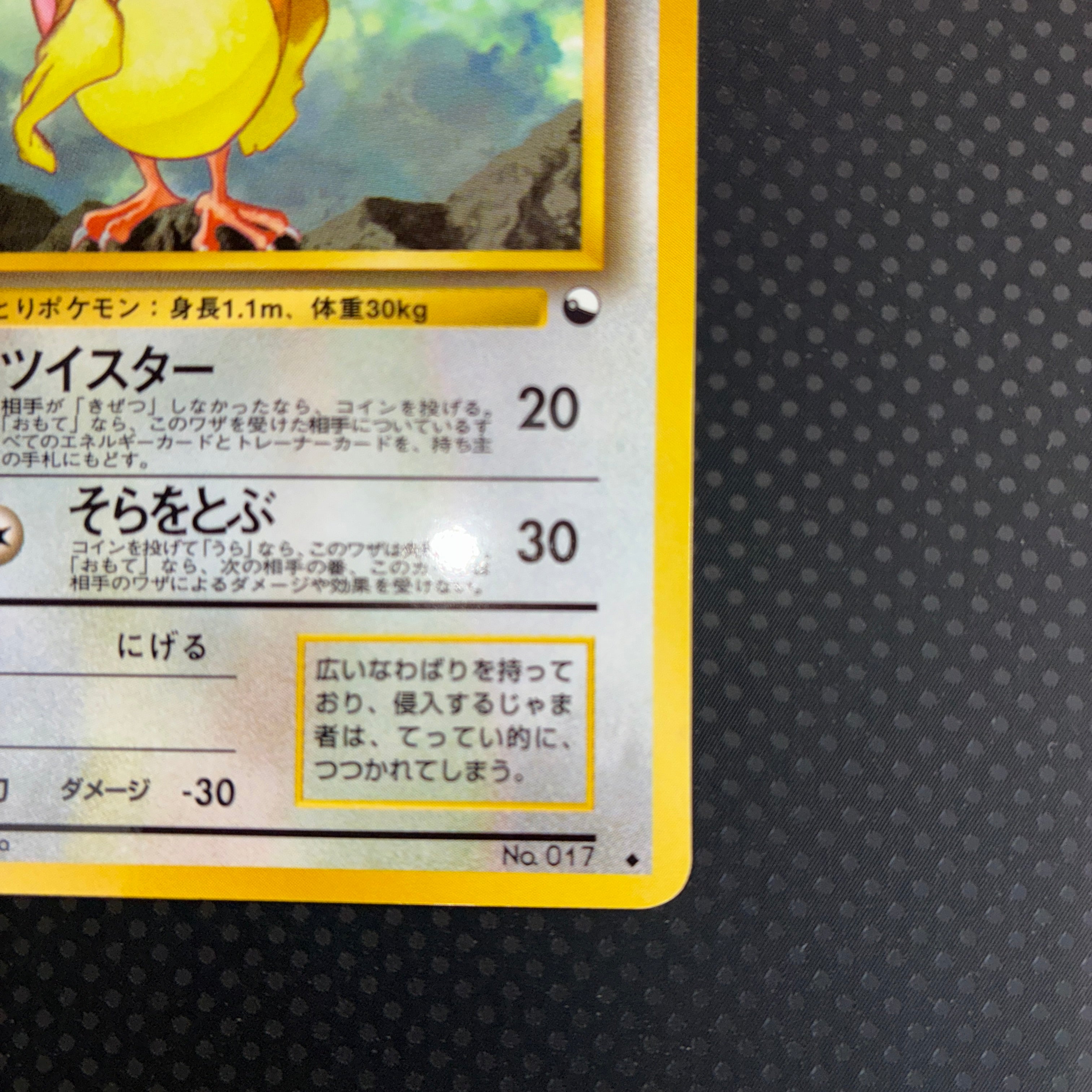 状態A ピジョン　旧裏　拡張シート