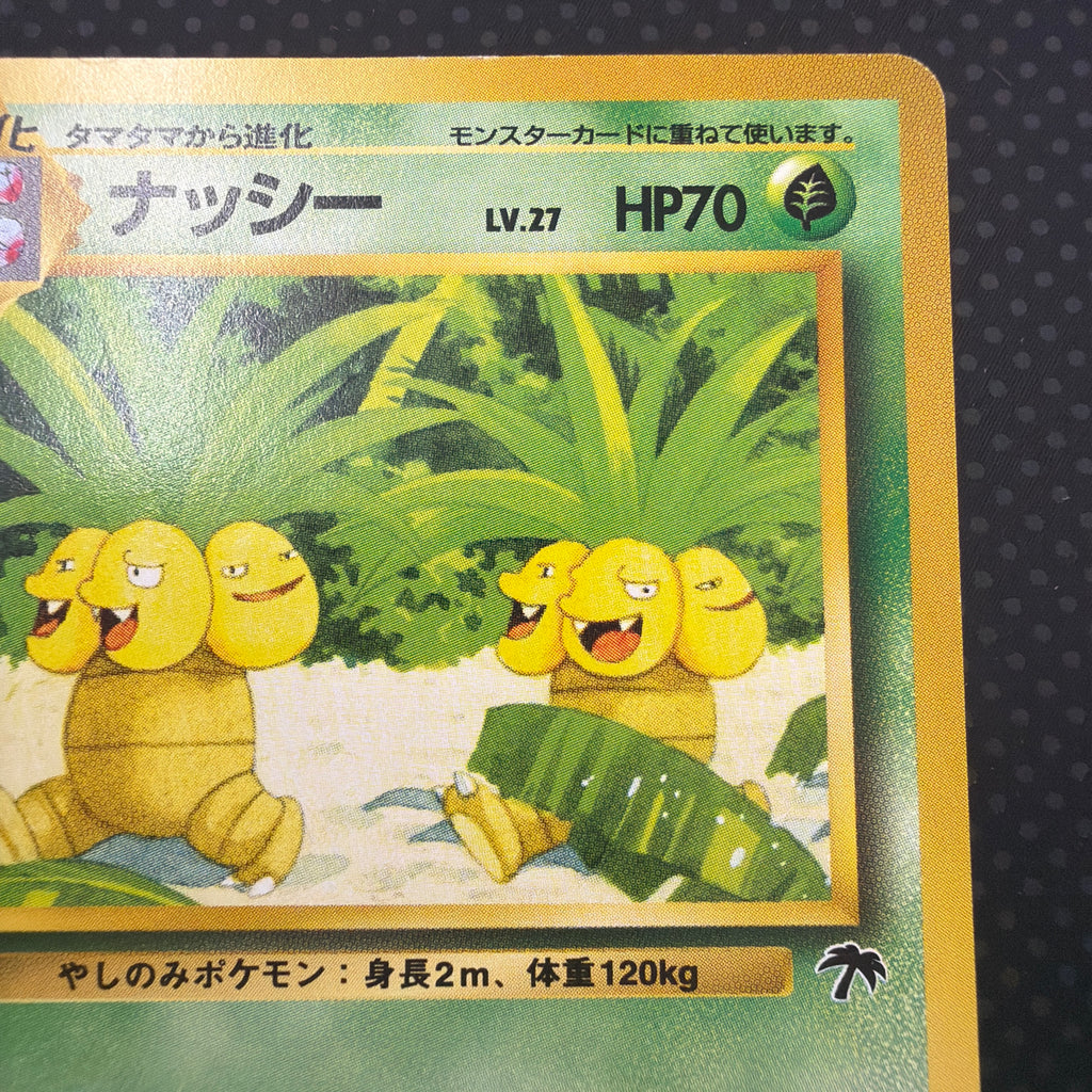 状態A ナッシー　旧裏　サザンアイランド　プレミアムファイル　No.103