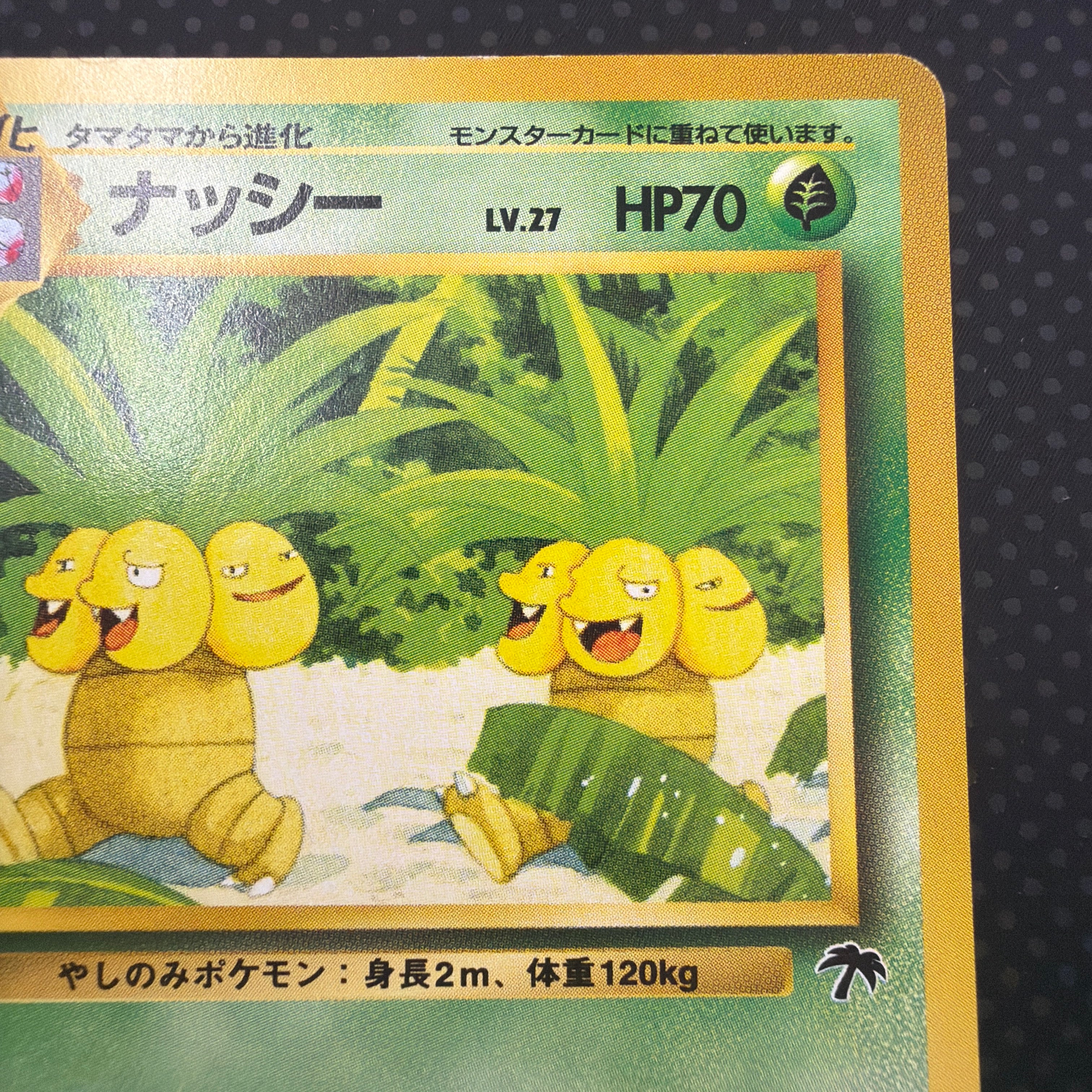 状態A ナッシー　旧裏　サザンアイランド　プレミアムファイル　No.103