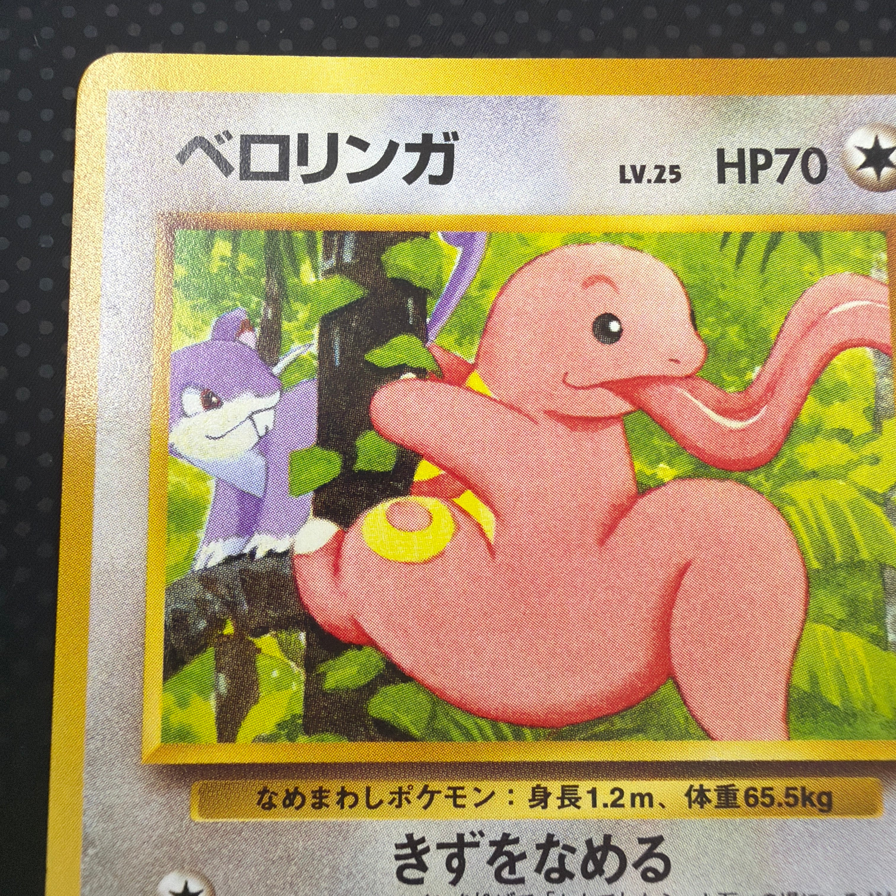 状態A ベロリンガ　旧裏　サザンアイランド　プレミアムファイル　No.108