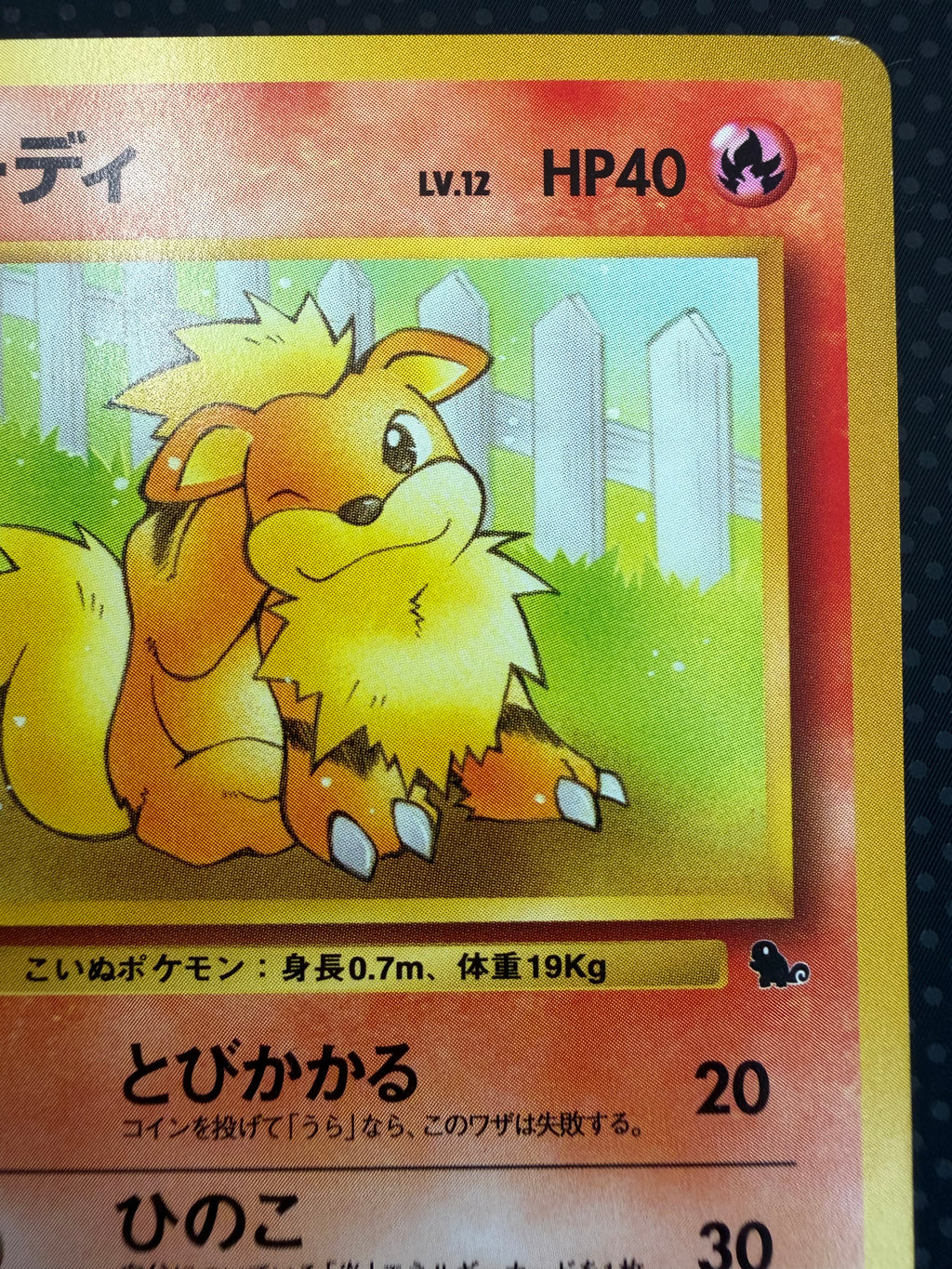 状態A+ ガーディ　旧裏　イントロパック　26 No.58