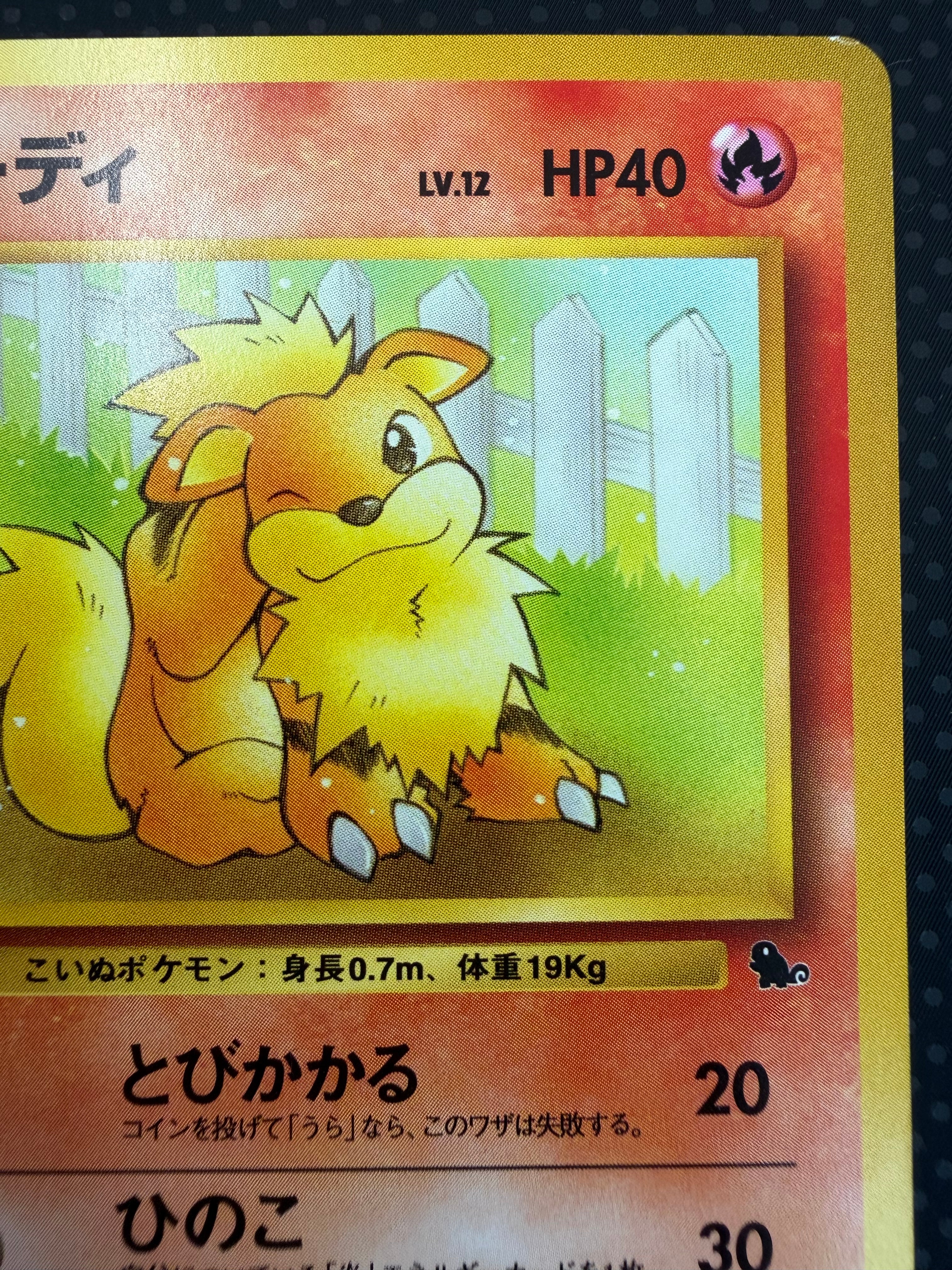 状態A+ ガーディ　旧裏　イントロパック　26 No.58