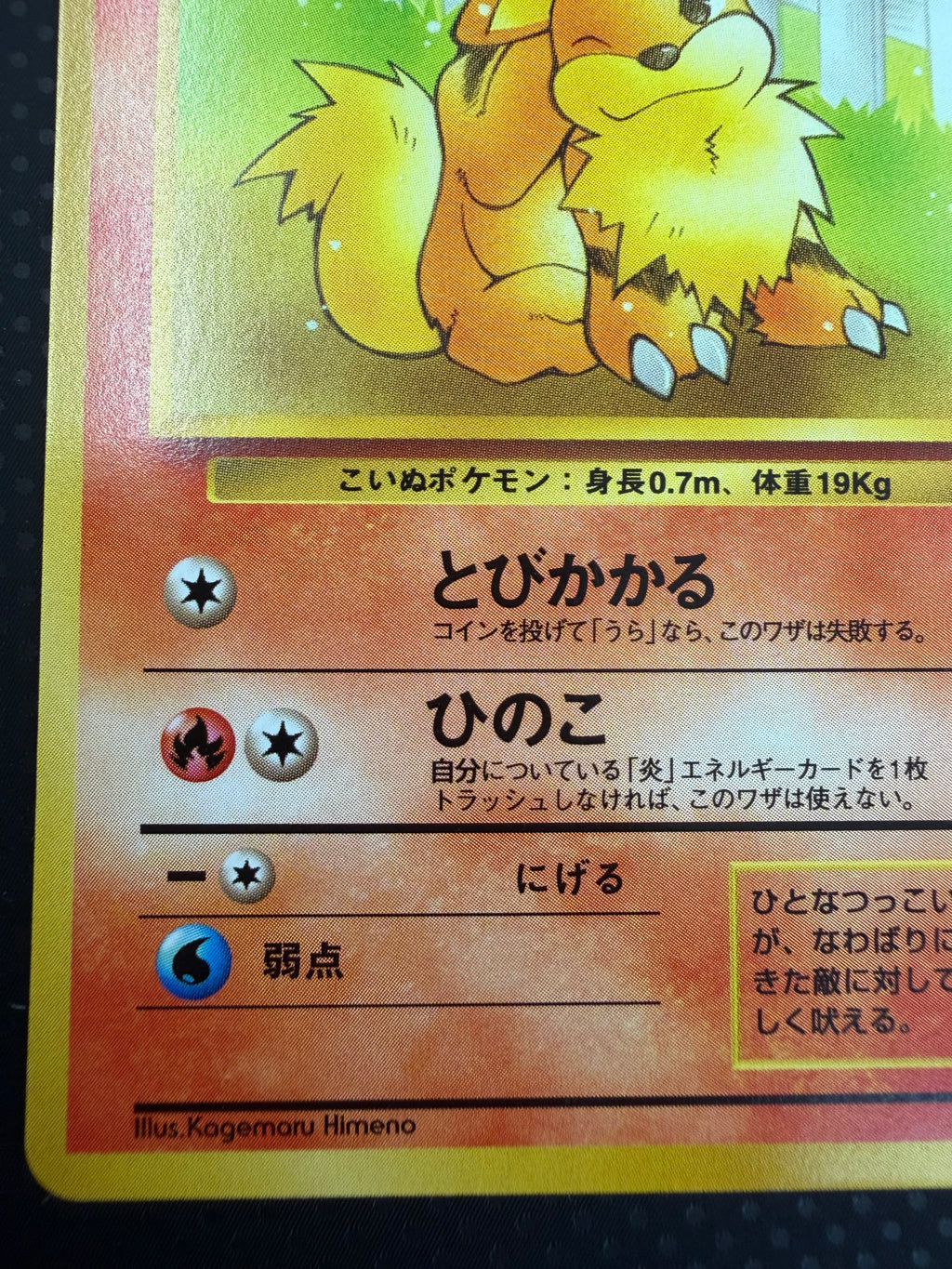 状態A+ ガーディ　旧裏　イントロパック　26 No.58