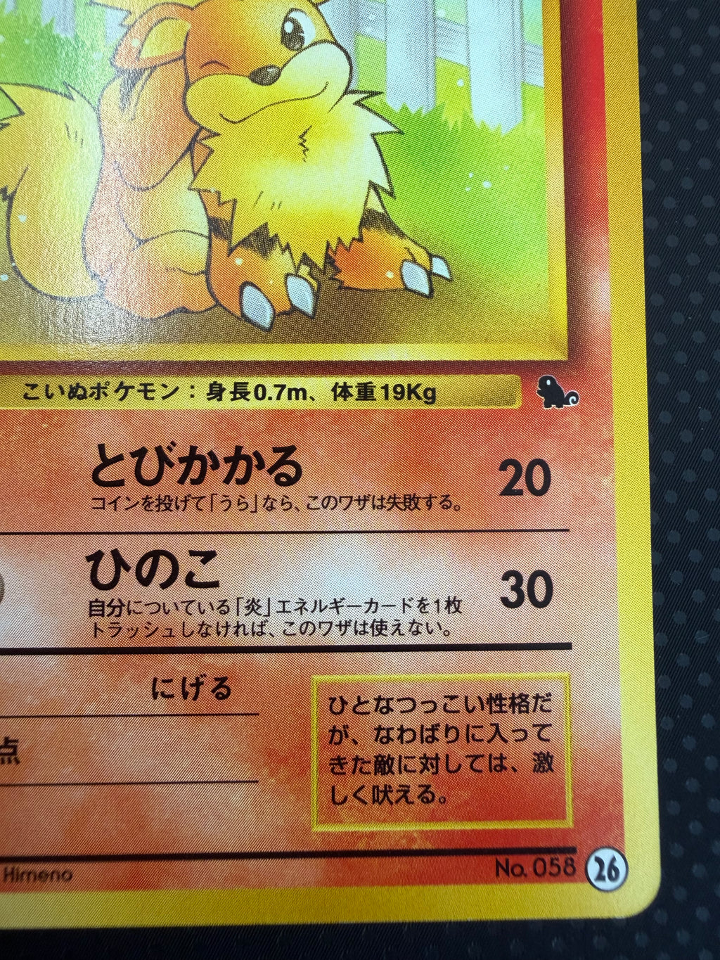 状態A+ ガーディ　旧裏　イントロパック　26 No.58