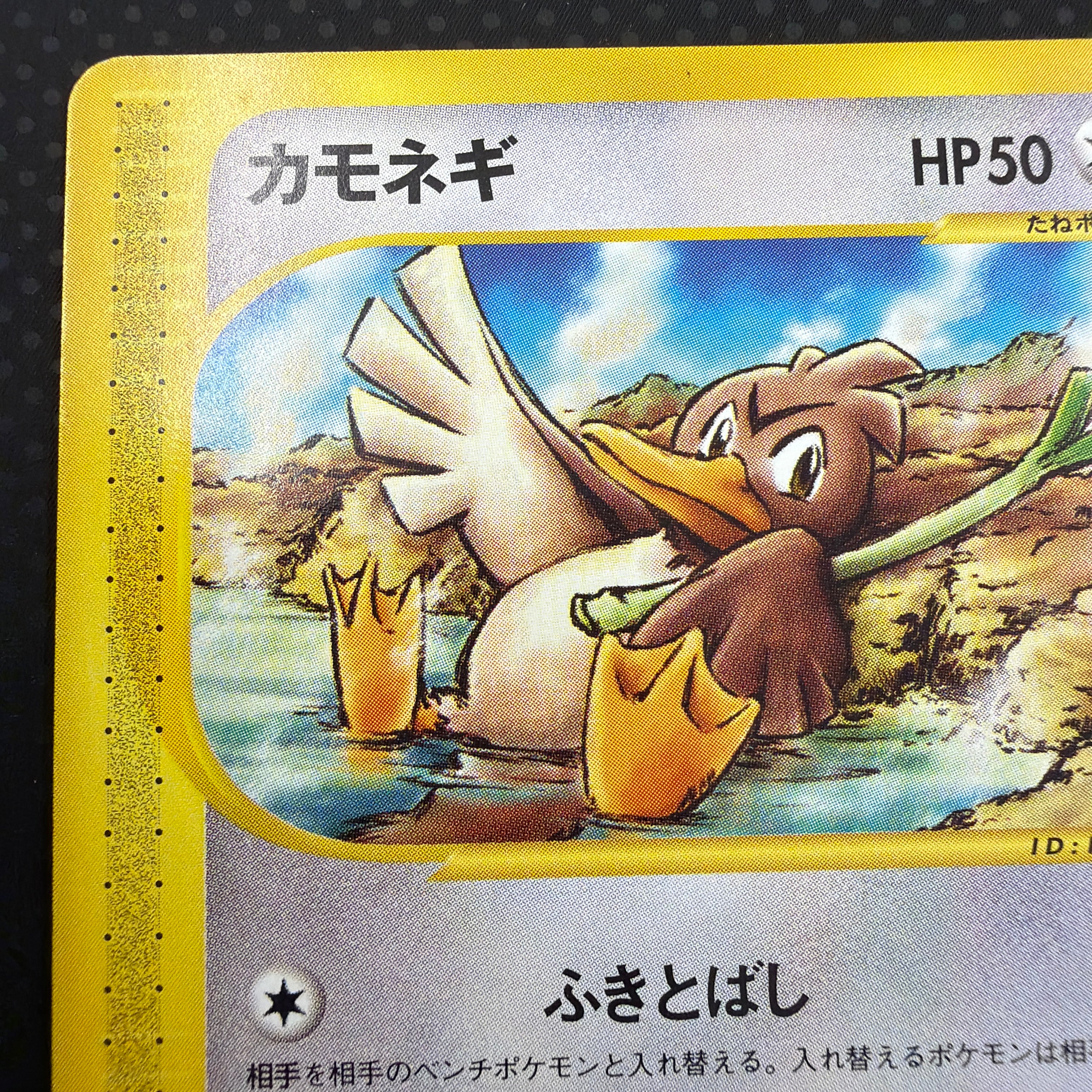 状態A カモネギ　eカード　温泉　061/088 アンリミ