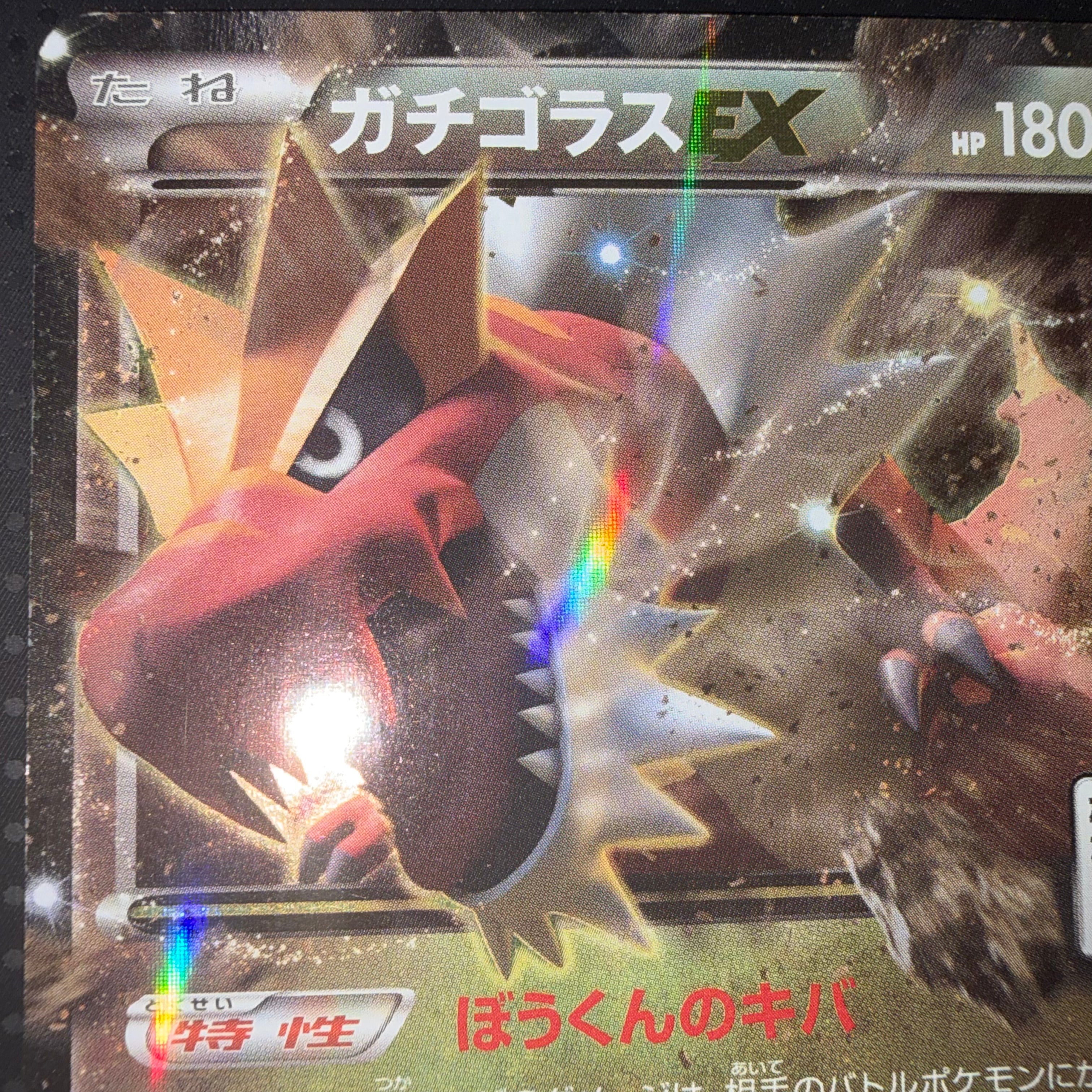 状態B ガチゴラスEX ジム プロモ