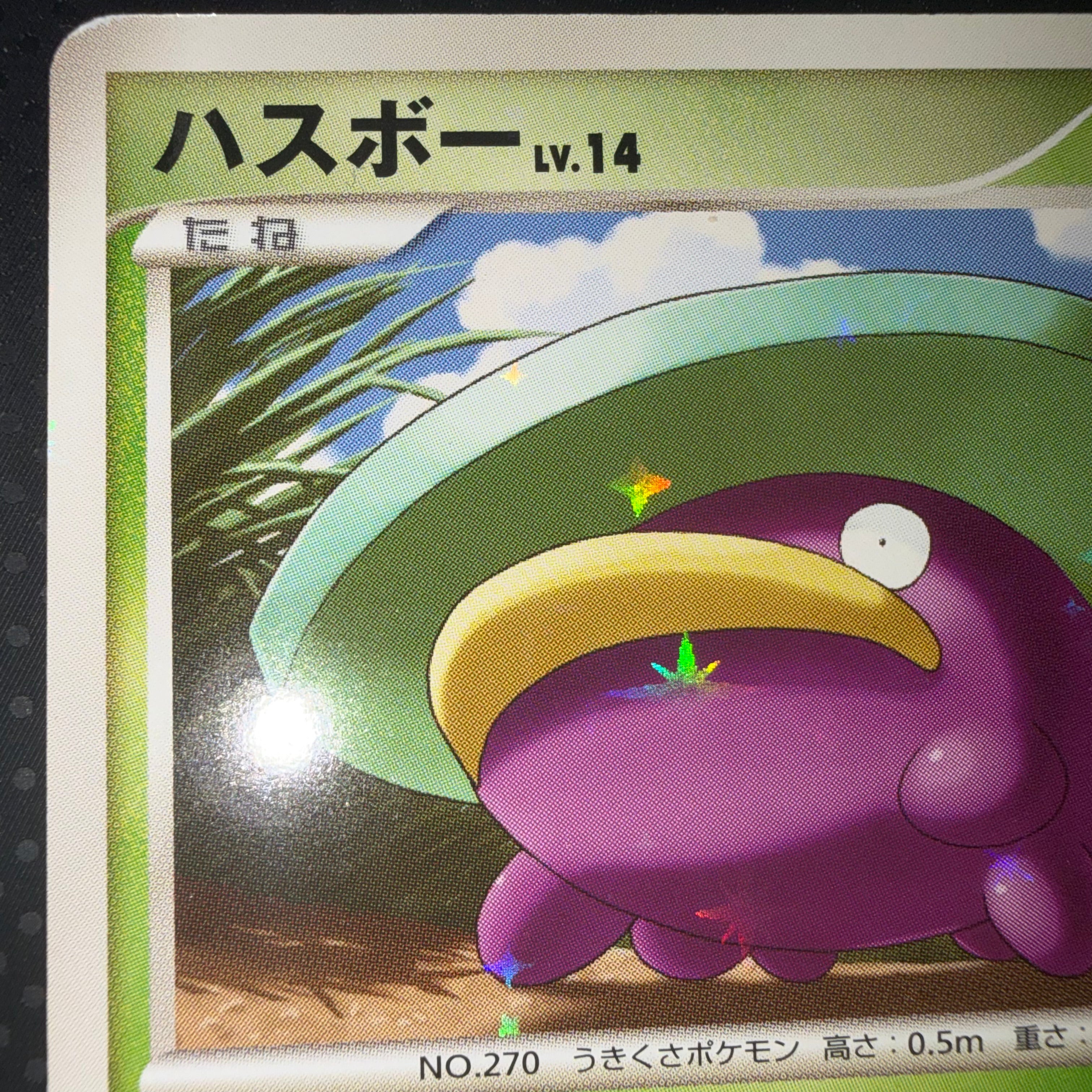 状態B ハスボー すいすい　pt1 色違い