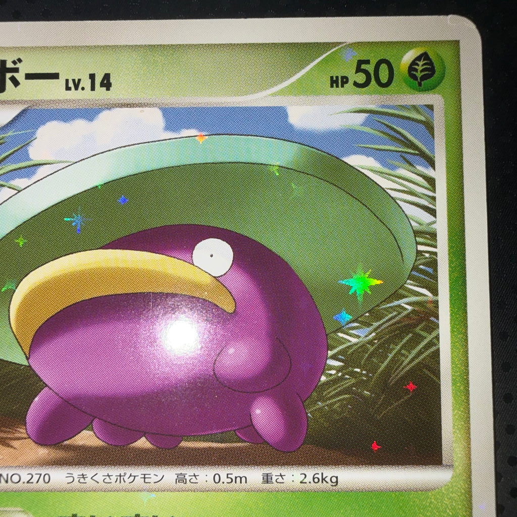 状態B ハスボー すいすい　pt1 色違い