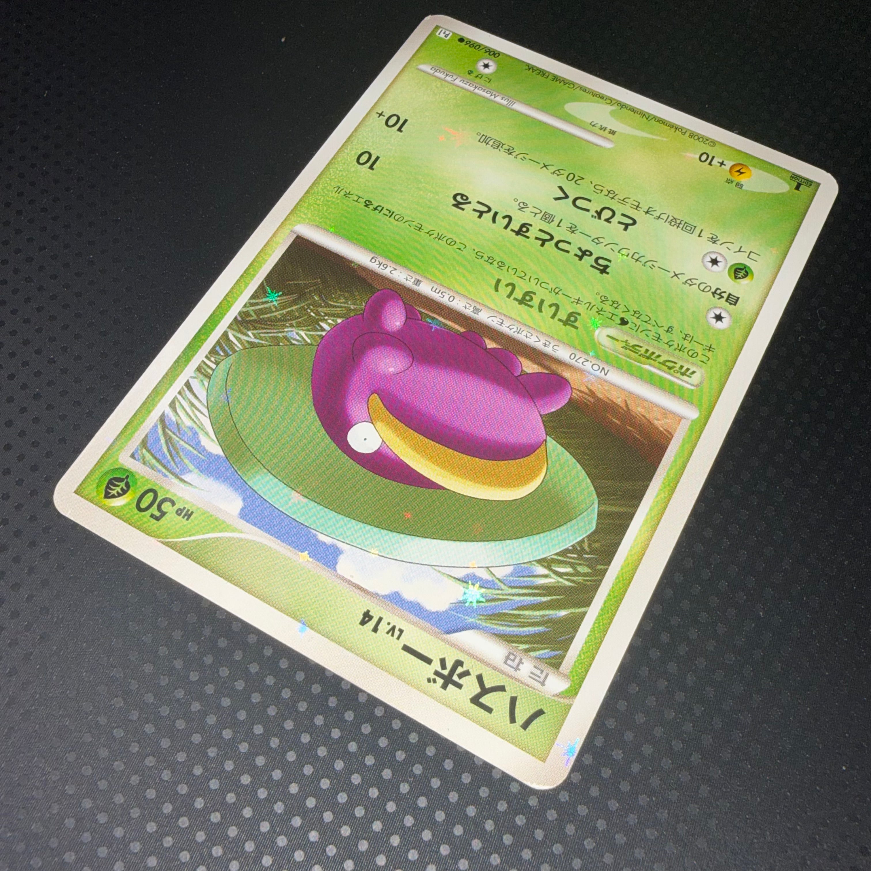 状態B ハスボー すいすい　pt1 色違い